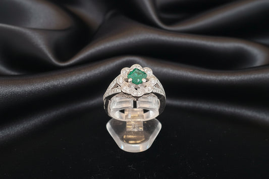 Pierre™ Natural Emerald Halo Ring